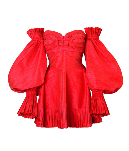 VAASANTI DRESS